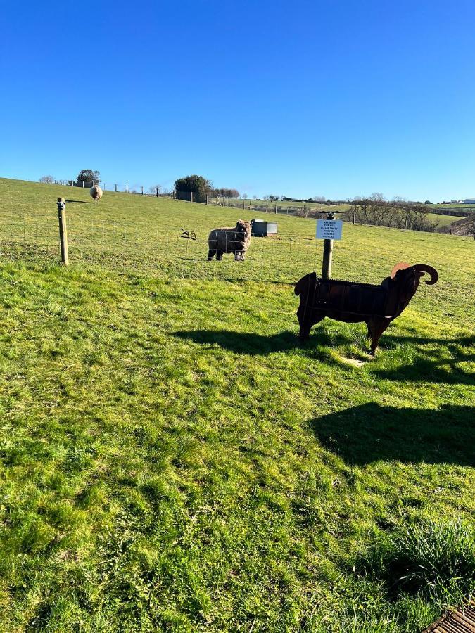 King Richard'S Luxury Lodge - Sleeps Up To 8 ,Dog Friendly ,Near Sherwood Forest At Fairview Farm In Nottingham Set In 88 Acres And Great For Groups,Family Gatherings,Corporate Events Eksteriør bilde